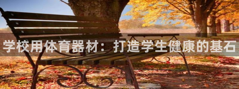 尊龙 中国：学校用体育器材：打造学生健康的基石