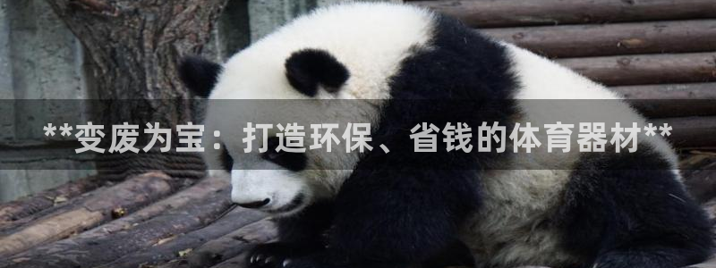 尊龙凯时出款：**变废为宝：打造环保、省钱的体育器材