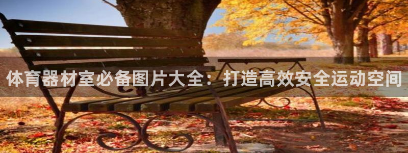 尊龙人生就是博现金：体育器材室必备图片大全：打造高效