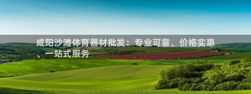 尊龙凯时为什么不封：咸阳沙滩体育器材批发：专业可靠、