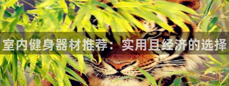 尊龙网站注册网