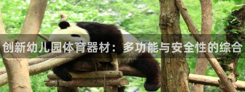 尊龙人生就是博网站下载：创新幼儿园体育器材：多功能与