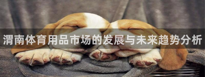 尊龙凯时下载链接：渭南体育用品市场的发展与未来趋势分